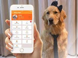 5 Aplicativos Gratuitos que Facilitam a Vida de Quem tem Animais