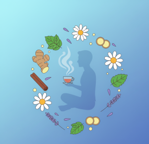 Receitas de infusoes naturais